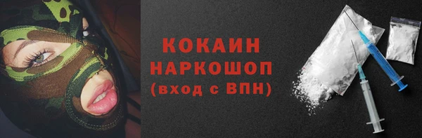 спайс Богданович