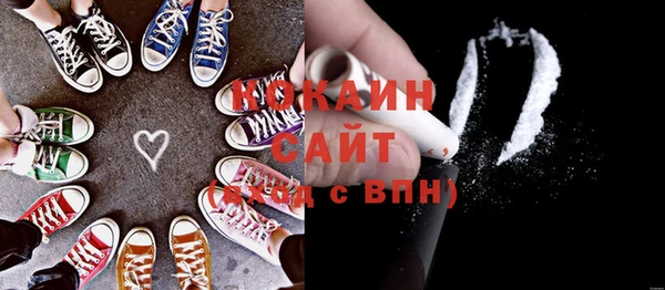 молекула духа Сясьстрой