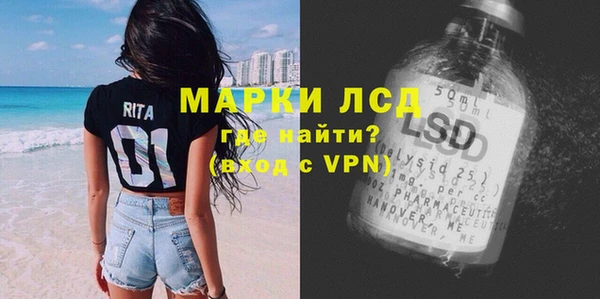молекула духа Сясьстрой