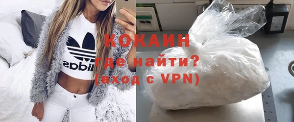 молекула духа Сясьстрой